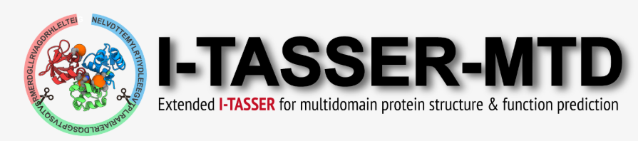 I-TASSER-MTD Server